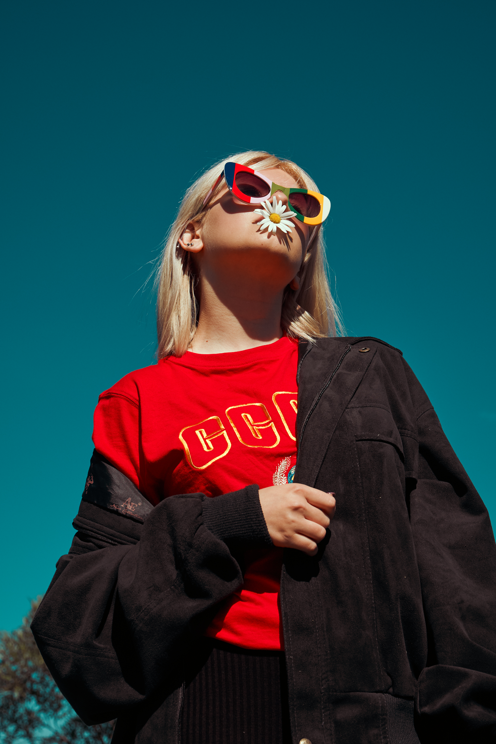 Premium luxury collection banner 3